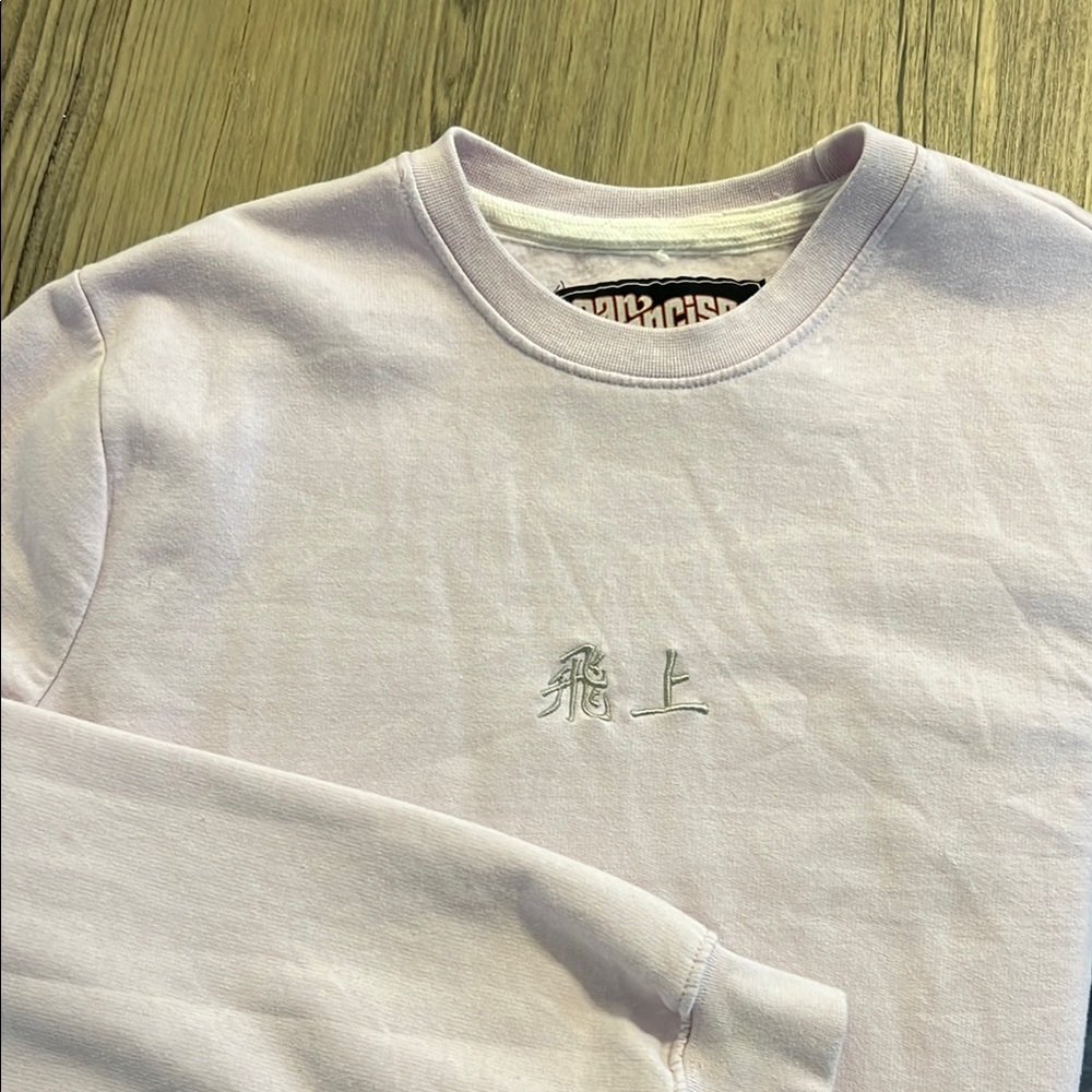 Light Purple Sweatshirt with Embroidered Design
